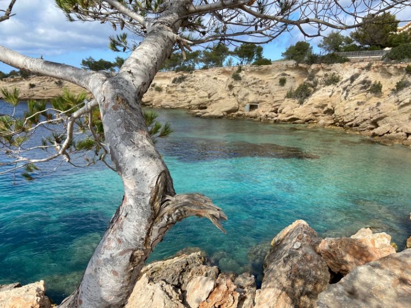 The best walking routes in Ibiza: San Antonio - Cala Salada